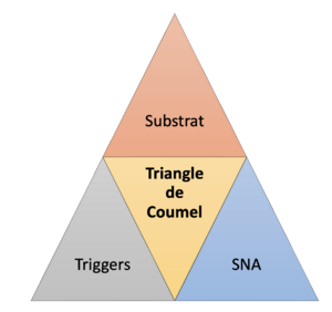 Triangle de Coumel .png