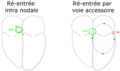 Vignette pour la version du 10 août 2023 à 08:56